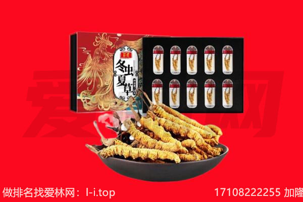 曲阳县回收虫草.jpg